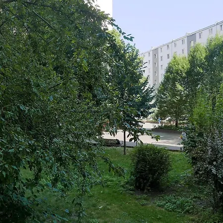 Center * 바르샤바