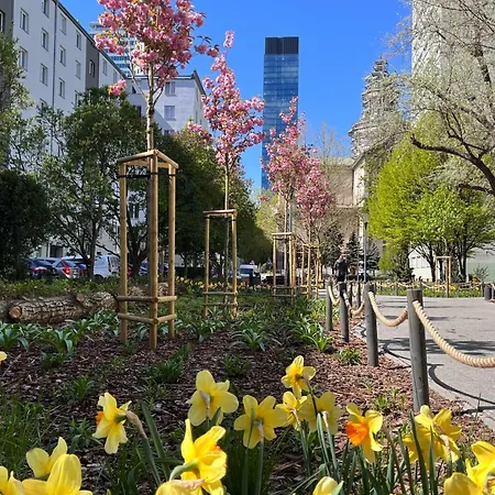 Center Apartman