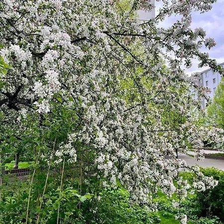 Center Apartman Varsó