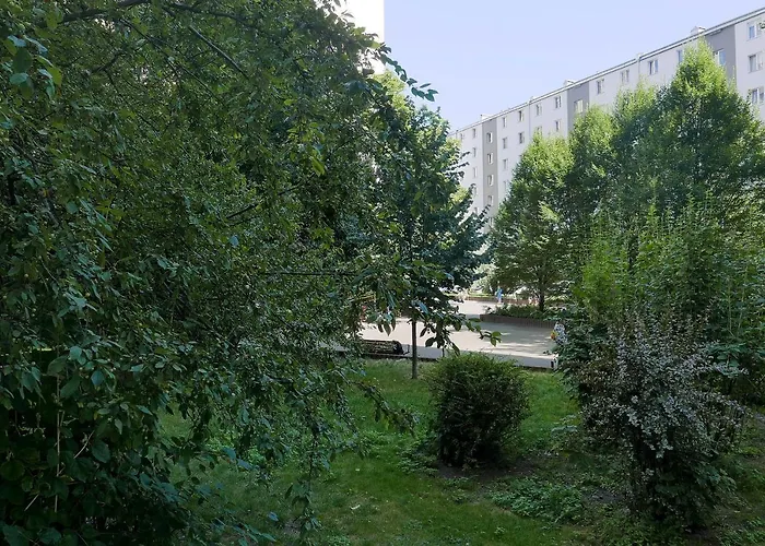 Center * Varsó