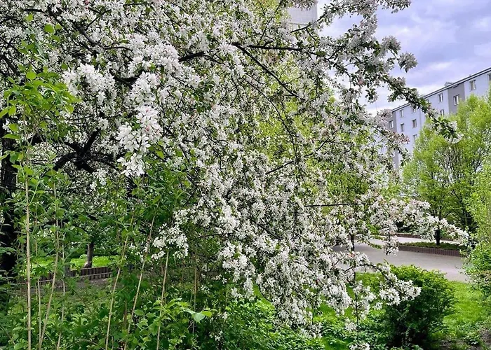 Center Apartman Varsó